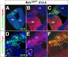 Figure 10.