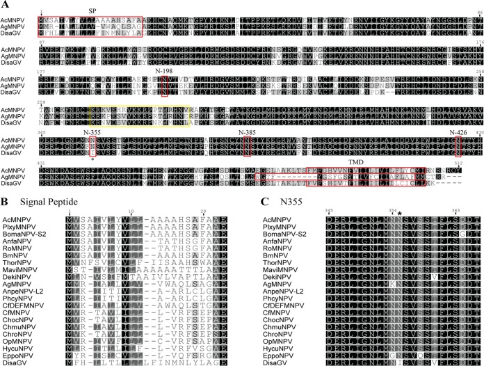 FIG 3