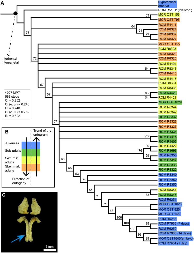 Fig 4