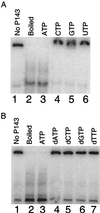 FIG. 8