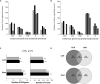 Figure 6