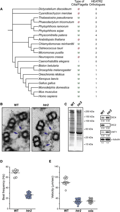 Figure 2