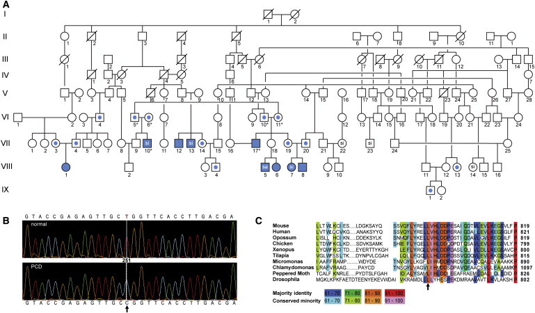 Figure 1