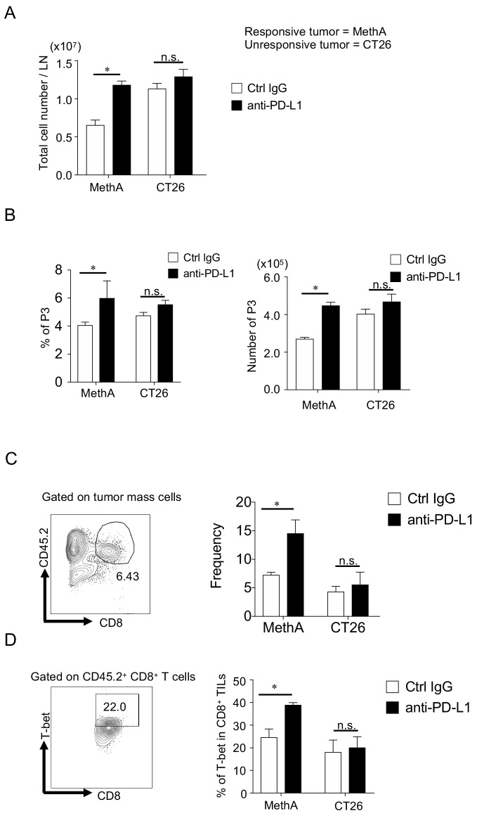 Figure 1—figure supplement 3.