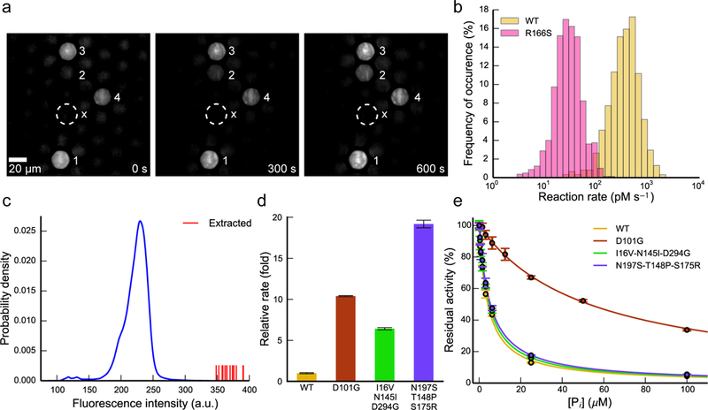 Figure 4: