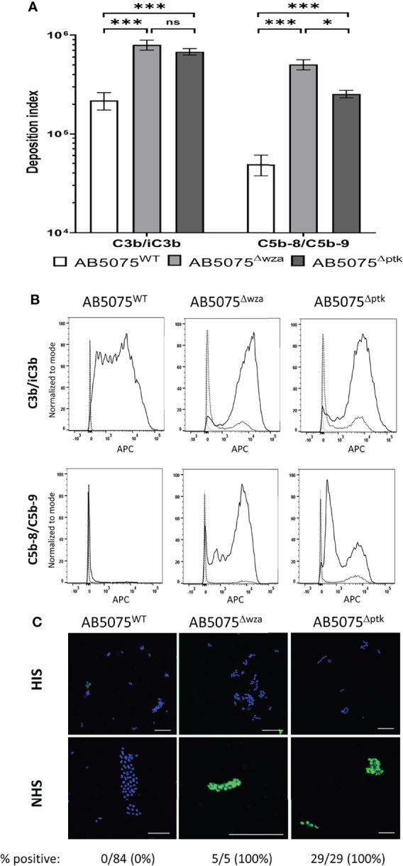 Figure 1