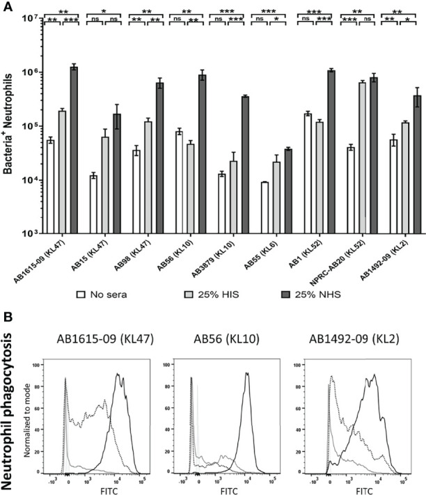 Figure 4