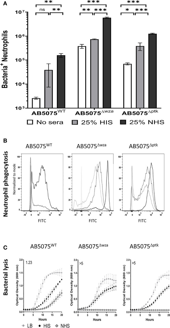 Figure 2