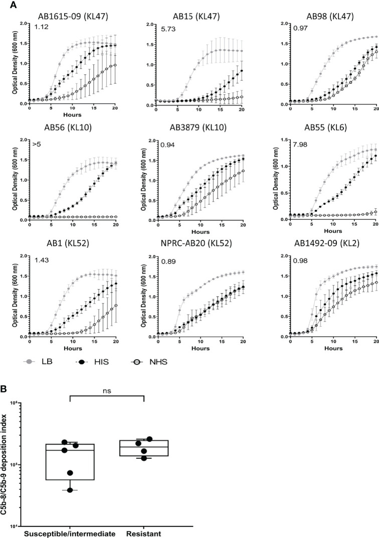 Figure 6