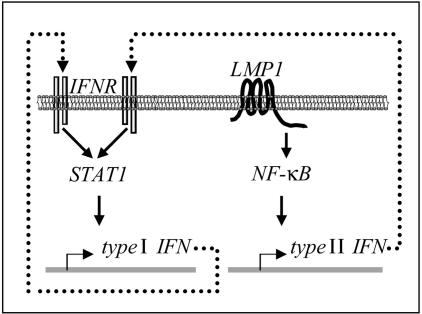 FIG. 9.