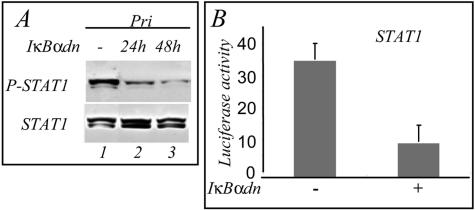 FIG. 5.