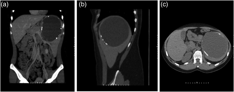 Figure 1: