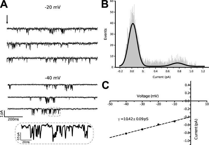 Figure 9.