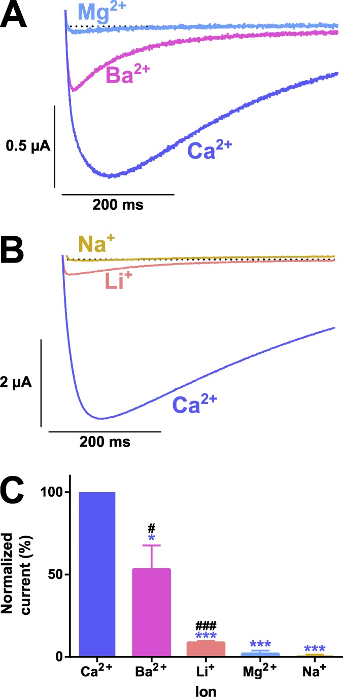 Figure 5.