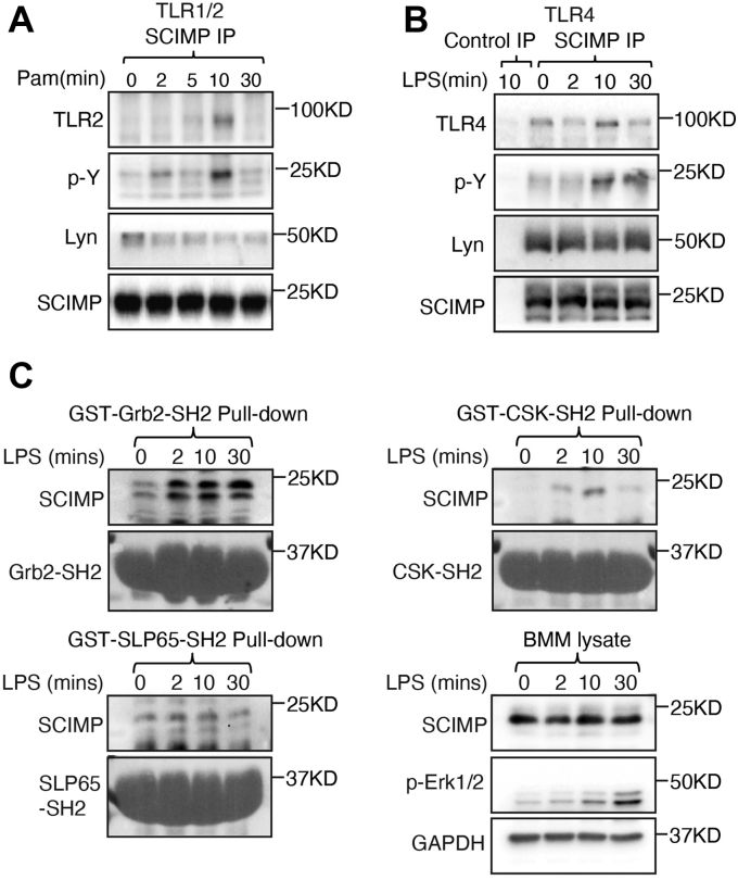 Figure 4