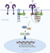 Figure 7