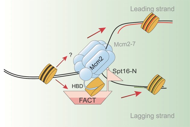 Graphical Abstract