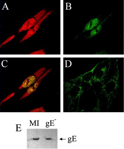 FIG. 6