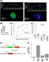 FIG. 4.