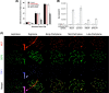 FIG. 6.