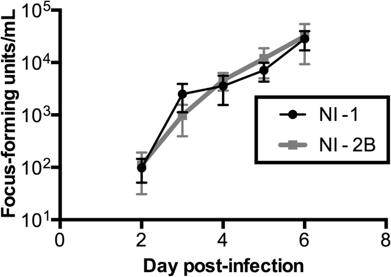 FIG 1