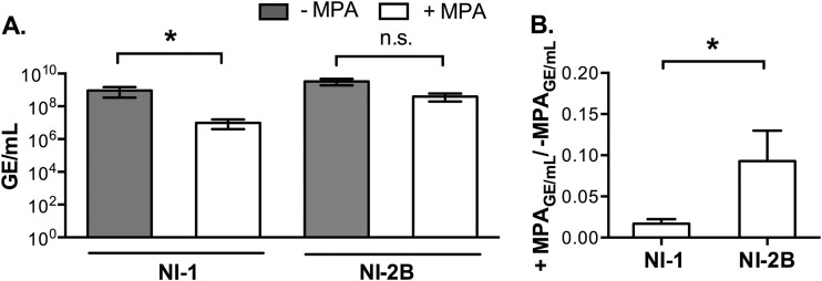 FIG 2