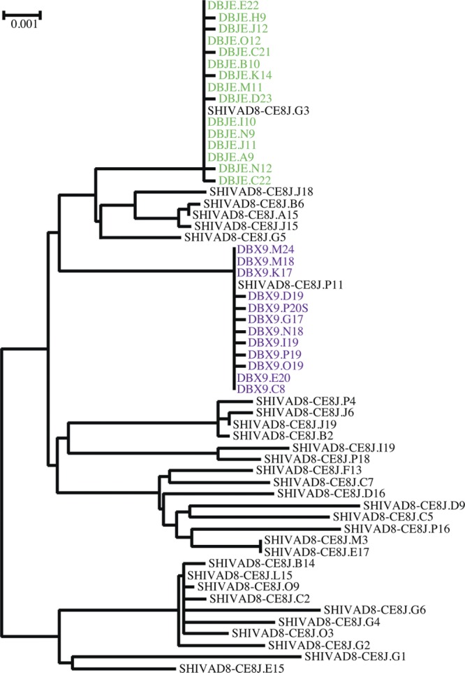 Fig 6