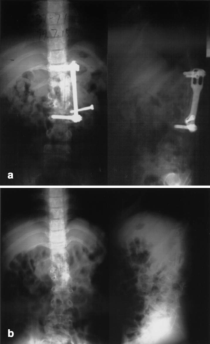 Fig. 5