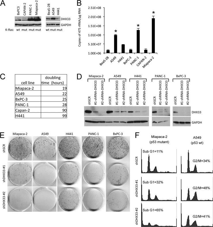 Fig 9