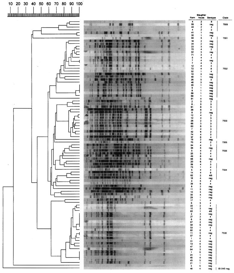 FIG. 1