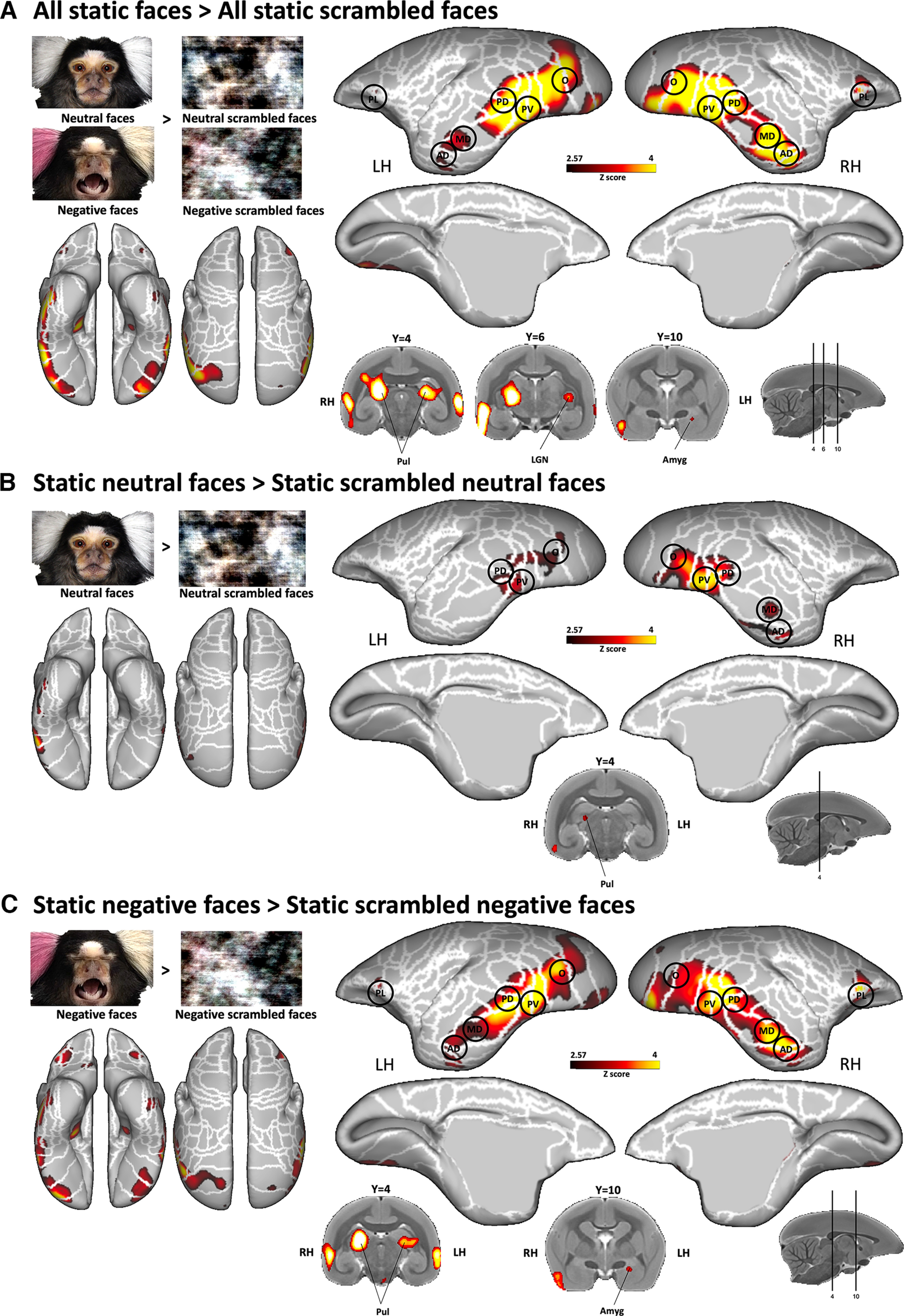 Figure 6.