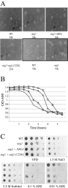 FIG. 4.