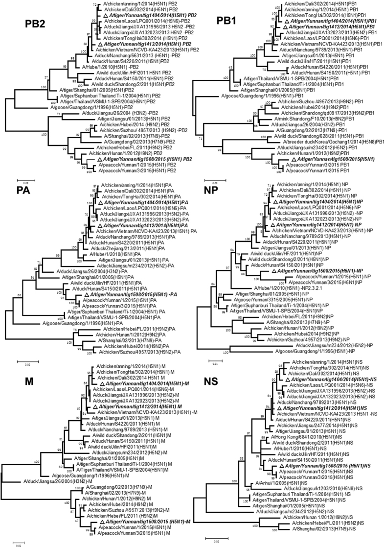 Figure 3