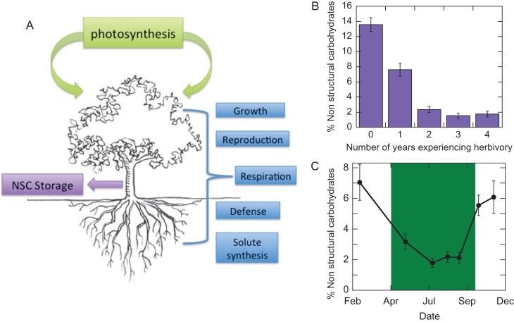 Figure 3: