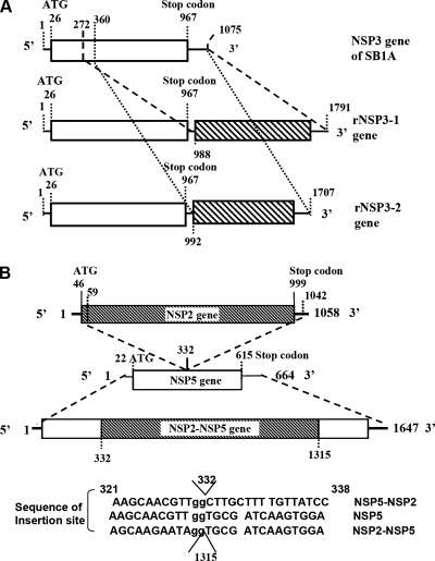 FIG. 3.