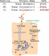 FIGURE 7: