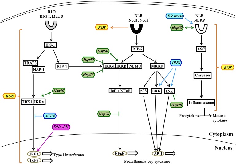 Figure 3.