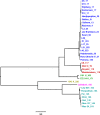 Fig 1