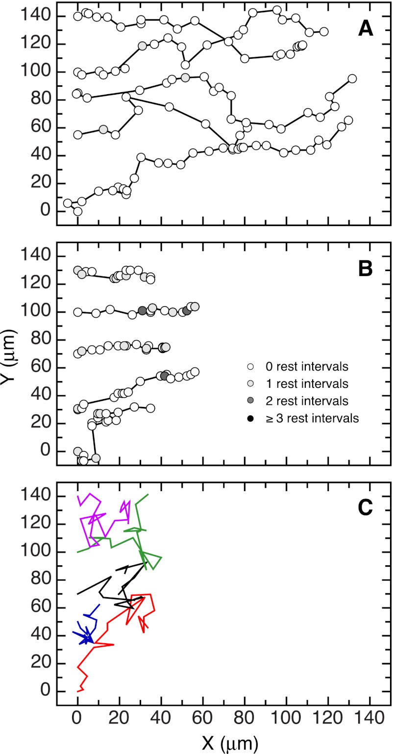 FIGURE 7.