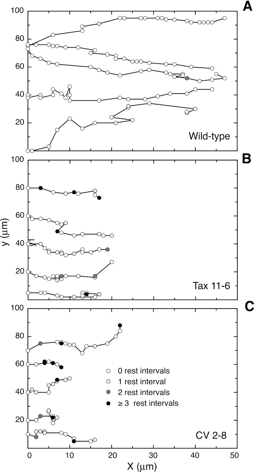 FIGURE 3.