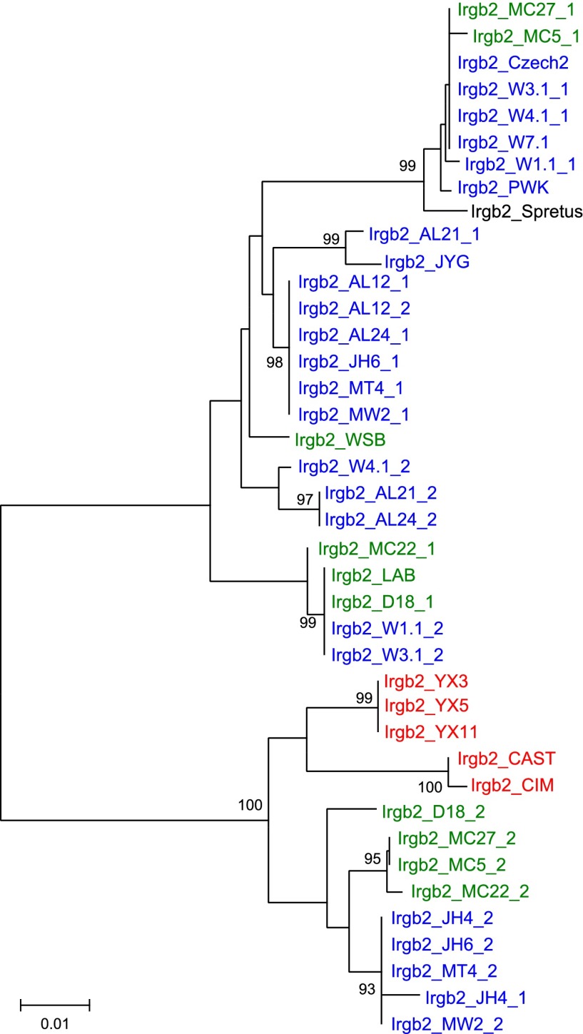 Figure 3—figure supplement 3.