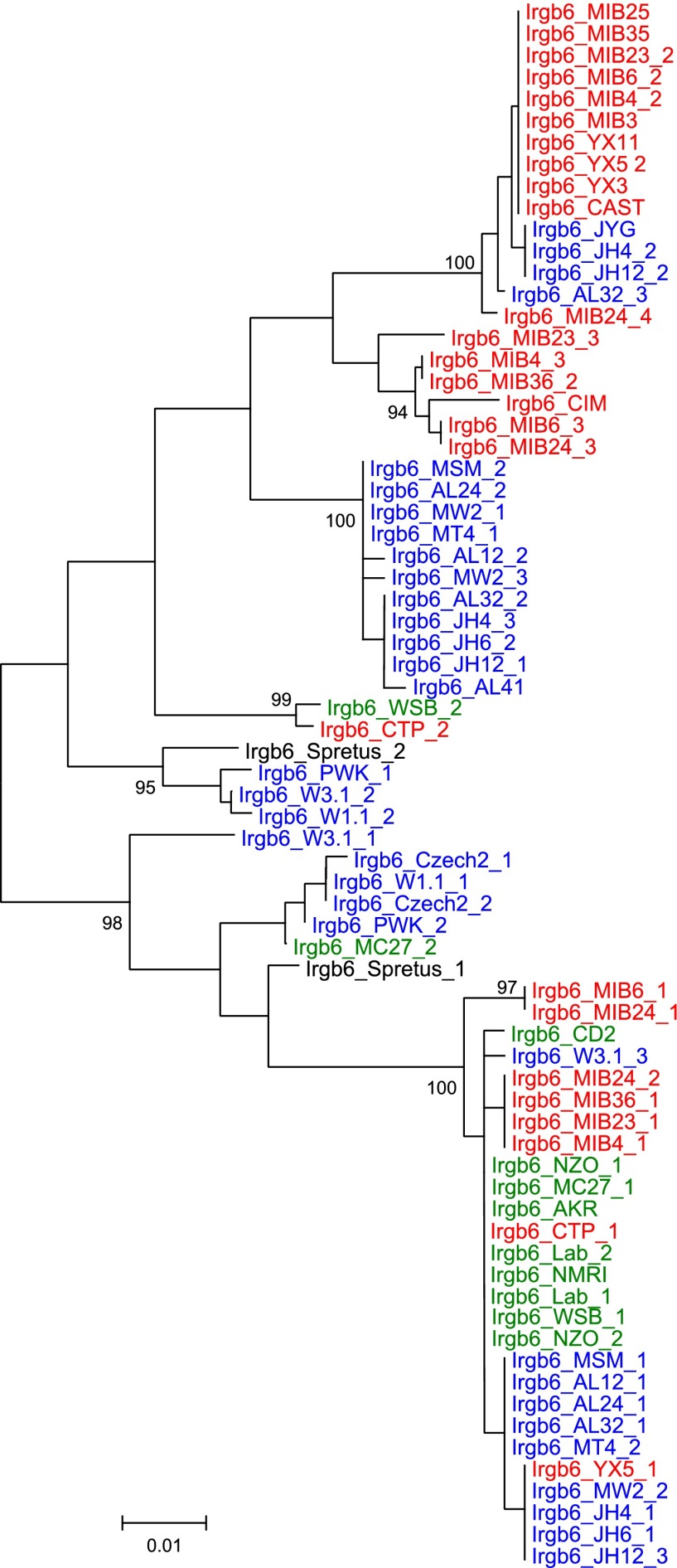 Figure 3—figure supplement 4.