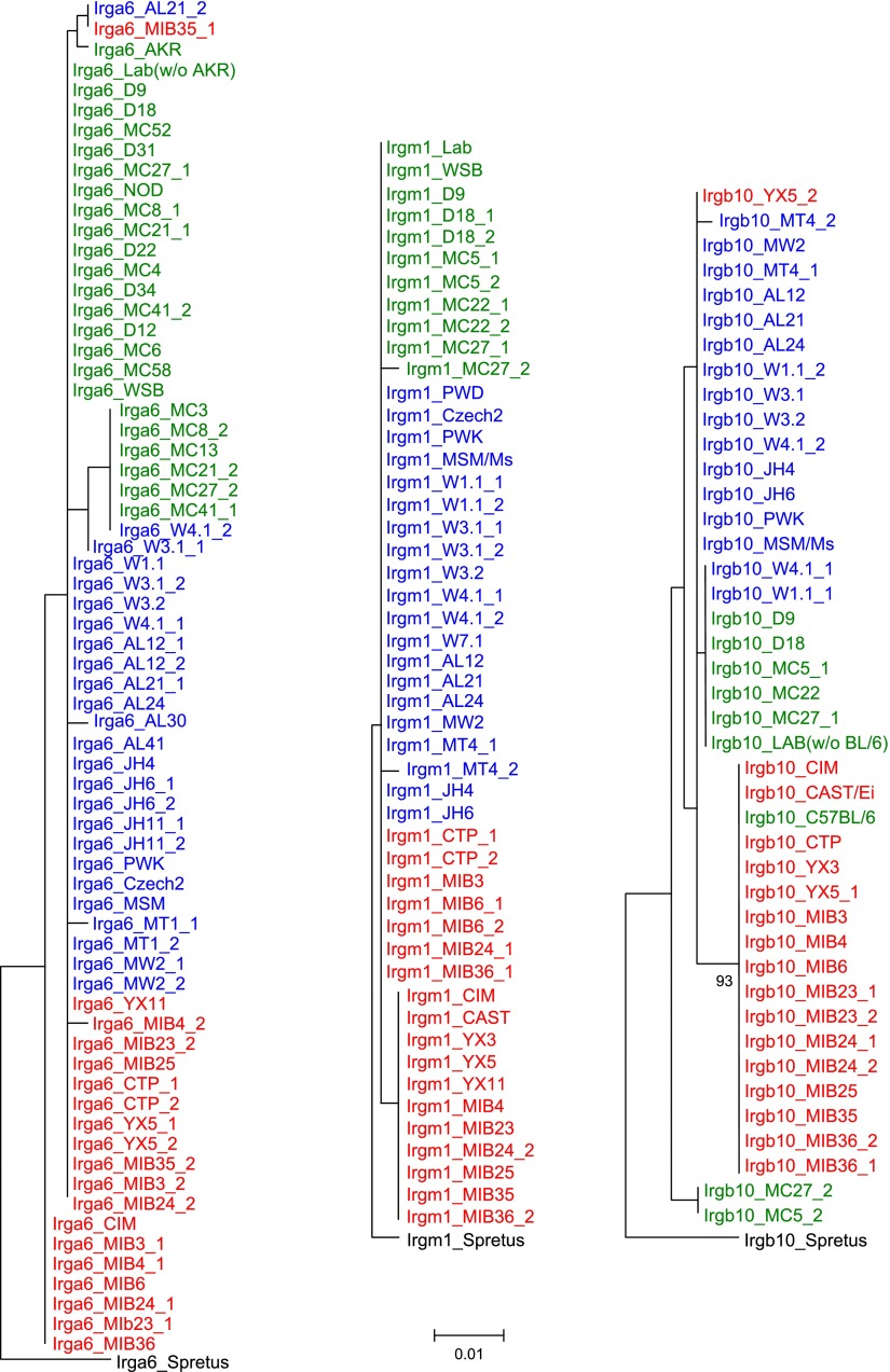 Figure 3—figure supplement 2.