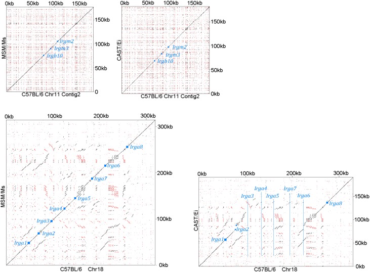 Figure 2—figure supplement 2.