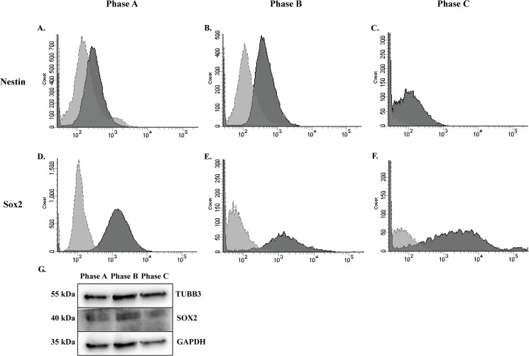 Fig 9