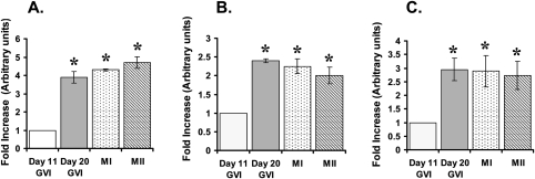 Figure 1: