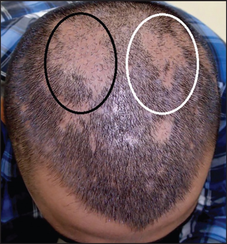Figure 8