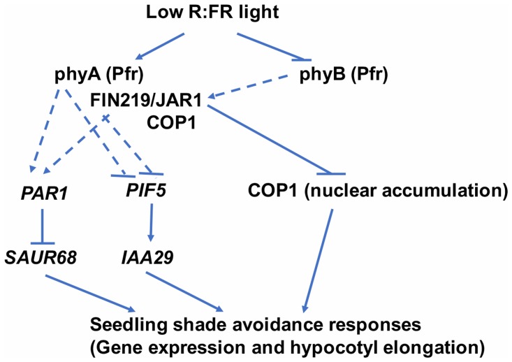 FIGURE 9