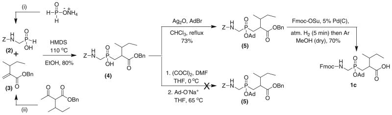 Scheme 1