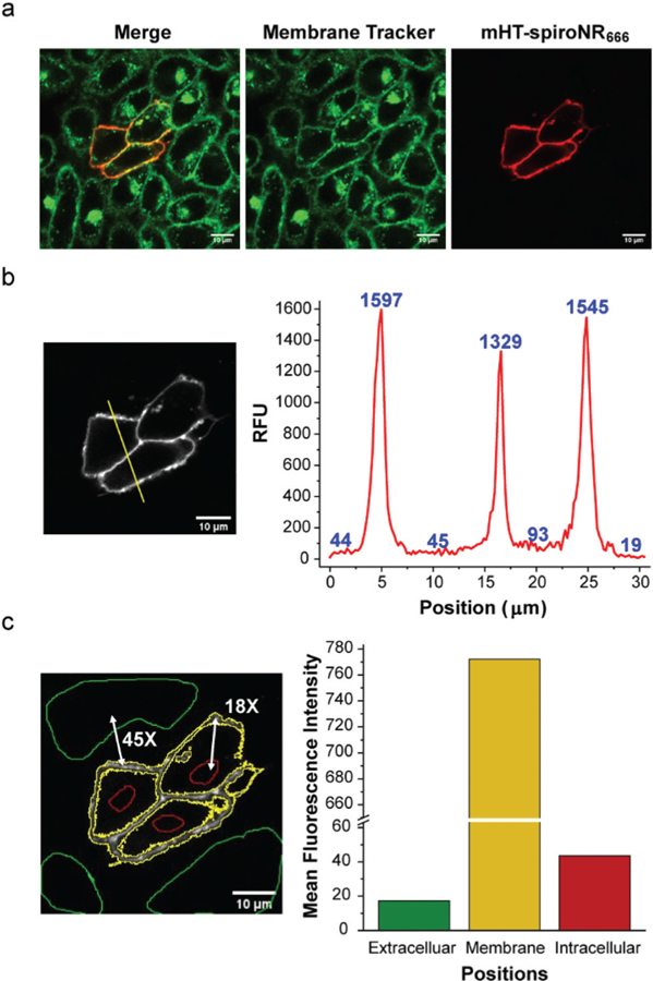 Fig. 4